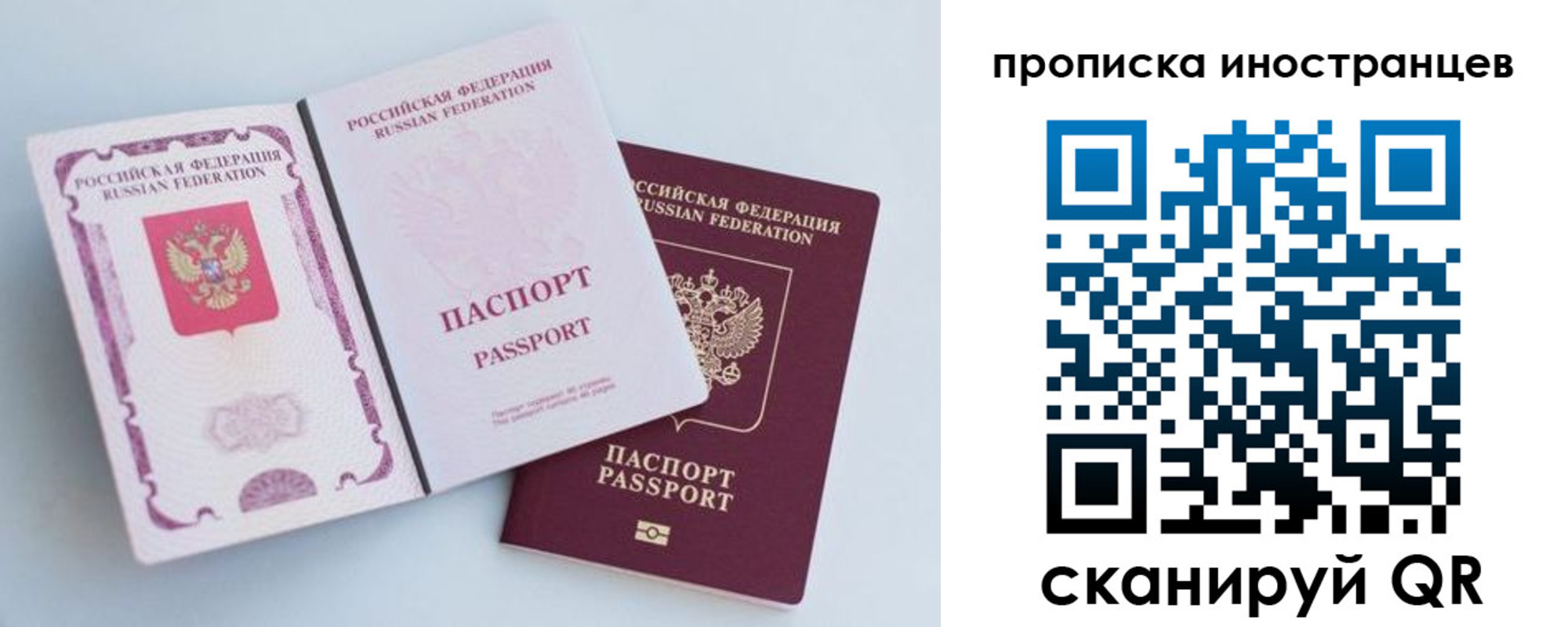 прописка паспорт в Алексеевке